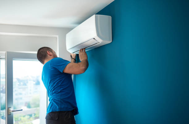 Best Air Filters and Purifiers in Fennville, MI
