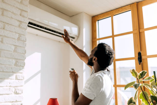 Best Ductless Mini-Split Systems in Fennville, MI
